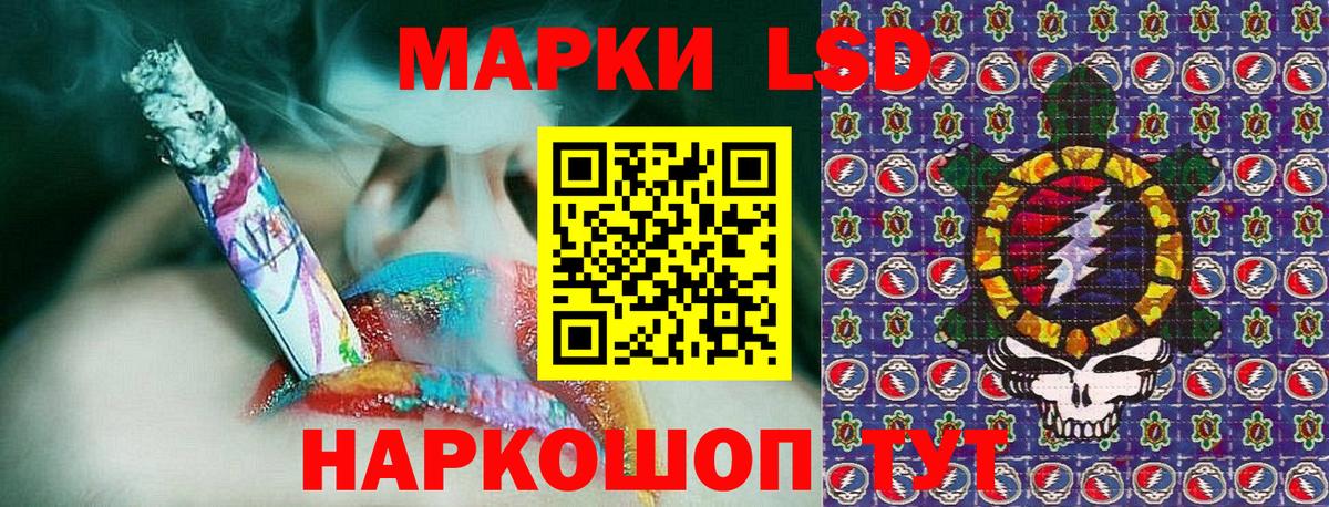 Наркотические марки 1500мкг  Вход с VPN  Наркотические марки 1500мкг  Зима 