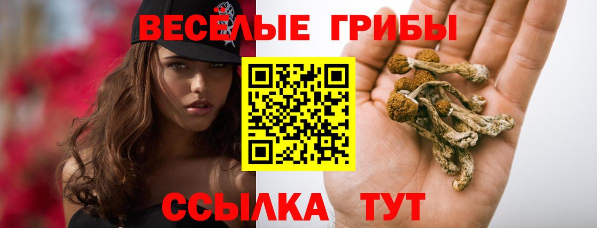 Зима  Псилоцибиновые грибы Psilocybine cubensis  купить наркоту  Вход с VPN 