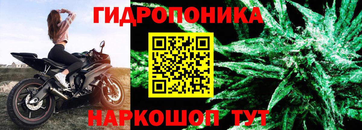 Бошки марихуана план Зима